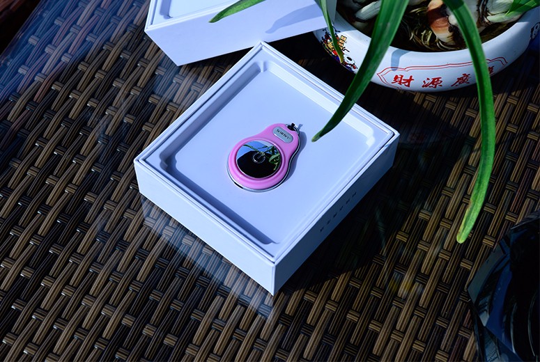 負(fù)離子凈化器